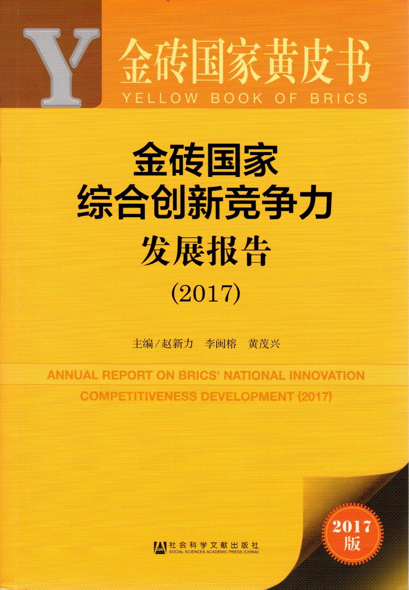 啊用力操视频金砖国家综合创新竞争力发展报告（2017）